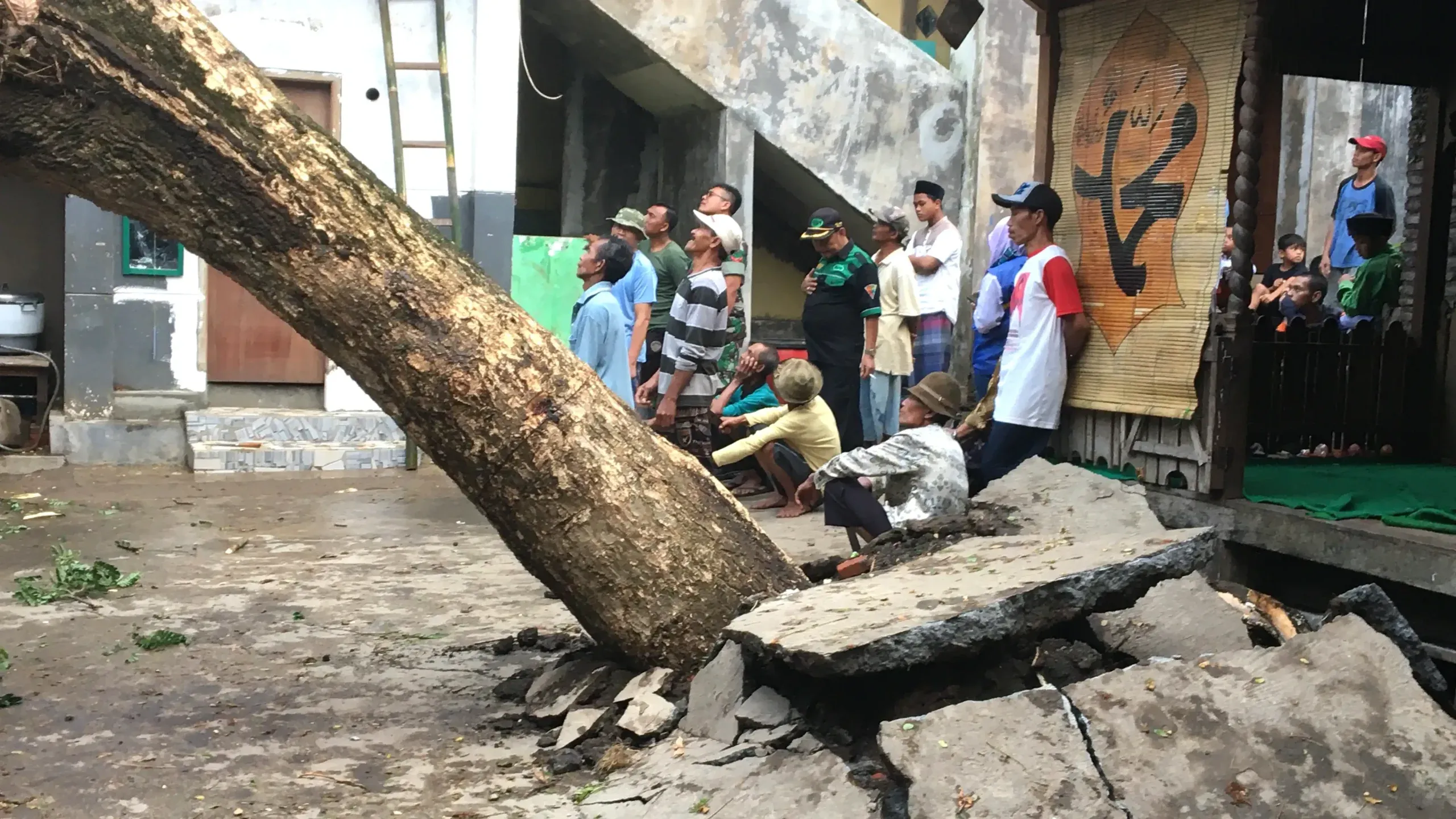 Hujan dan Angin Kencang Membuat Pohon Trembesi Roboh di Panti Asuhan Pakis Kabupaten Malang
