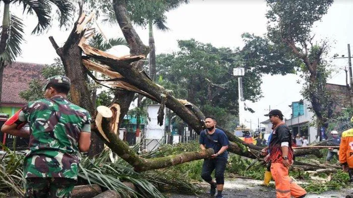 Waspada! BPBD Kabupaten Malang Ingatkan Anomali Cuaca, Hujan Deras dan Angin Kencang Mengancam