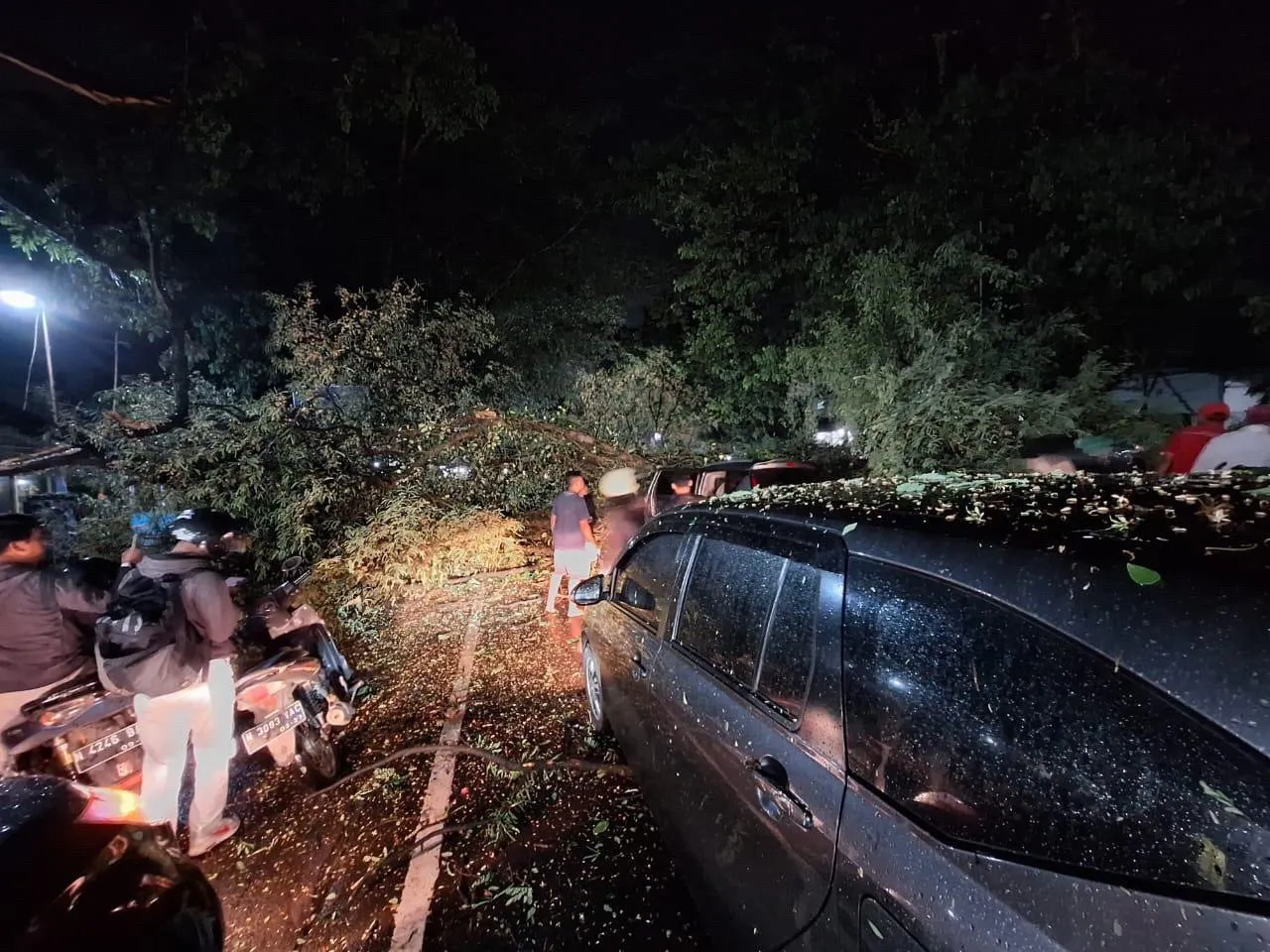 Pohon Tumbang di Karanglo Malang, 2 Korban Meninggal, Beberapa Luka-Luka